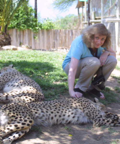 Catherine stroking cheetahs
