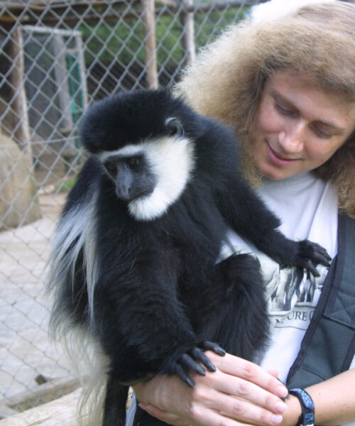 Mt kenya Safari Lodge zoo - Black & White monkey