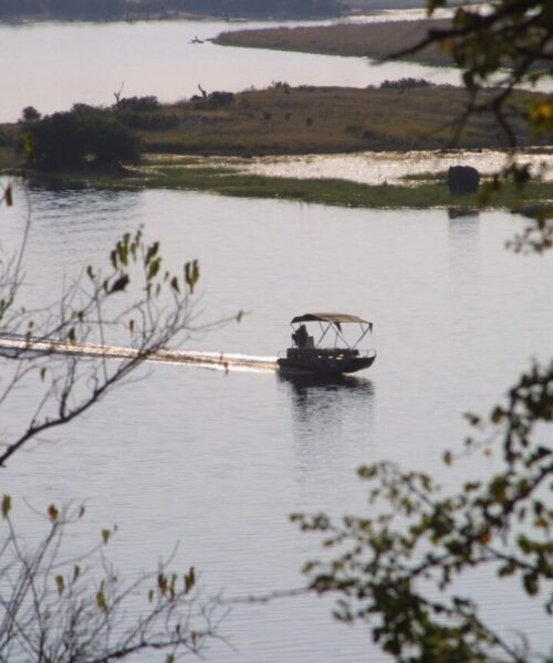 Chobe River