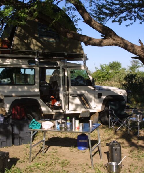 Christmas Day - kalahari