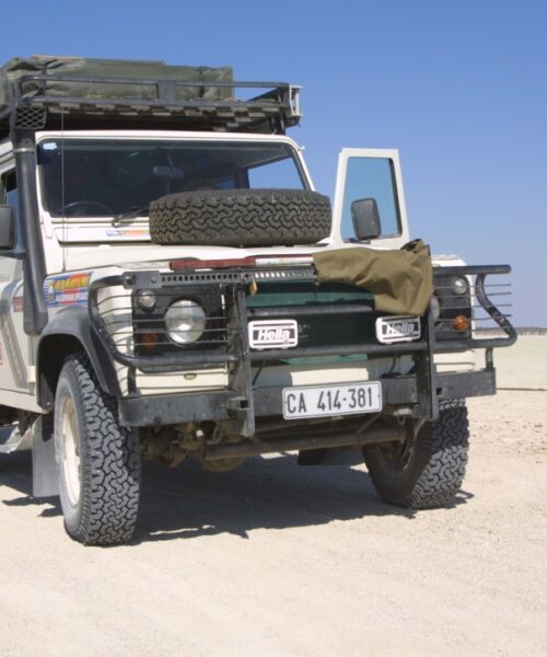 Daph at Etosha pan