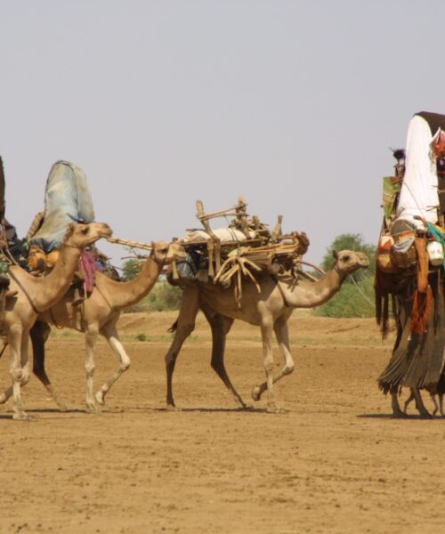 Darfur - locals on the move