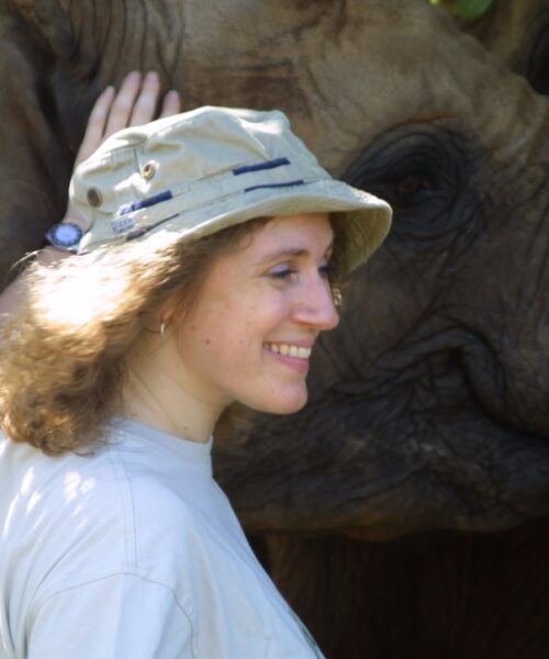 Elephant Sanctury 6