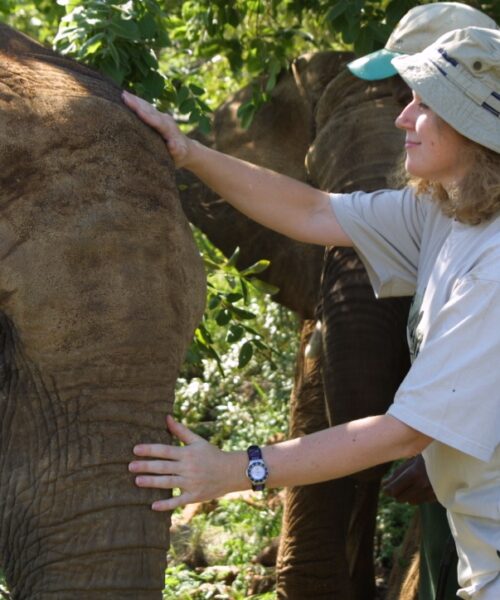 Elephant sanctury5