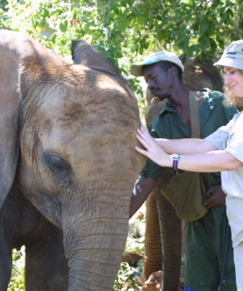 Elephant scanctuary